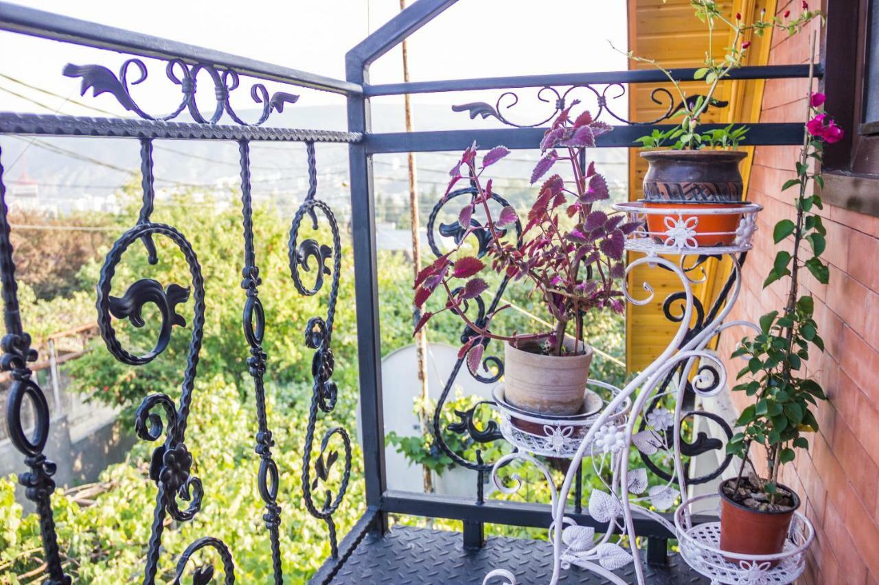 Apartament Sofia تبليسي المظهر الخارجي الصورة
