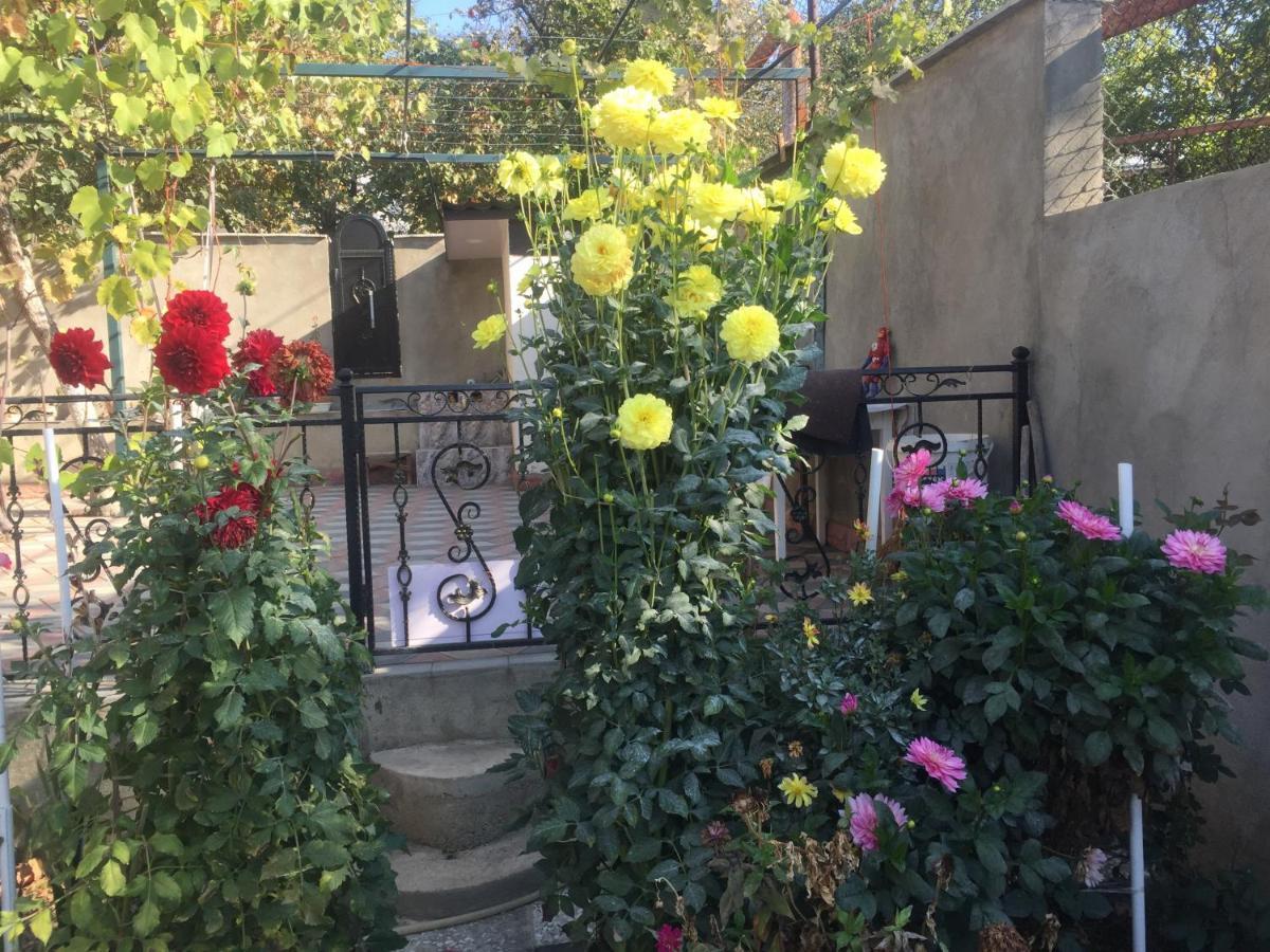Apartament Sofia تبليسي المظهر الخارجي الصورة